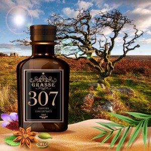 GRASSE 307- аромат направления AFRICAN LEATHER (Memo)