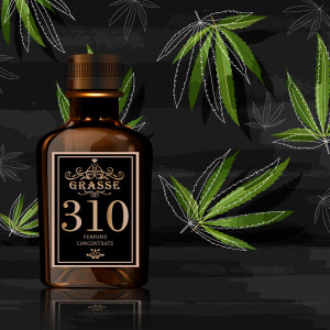 GRASSE 310- аромат направления MARIJUANA (Byredo)