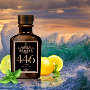 GRASSE 446- аромат направления AQVA POUR HOMME ATLANTIQVE (Bvlgari)