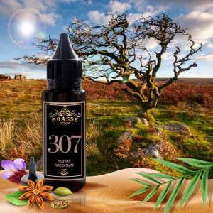 GRASSE 307- аромат направления AFRICAN LEATHER (Memo)