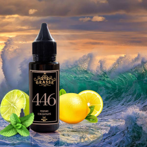 GRASSE 446- аромат направления AQVA POUR HOMME ATLANTIQVE (Bvlgari)