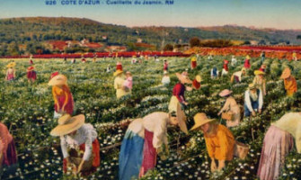 История парфюмерия