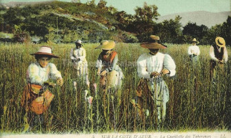 Из истории парфюмерии